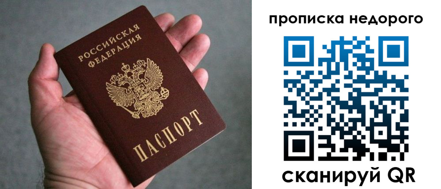 прописка поиск в Покрове